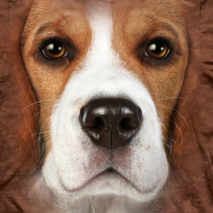 Beagle face t shirt clearance