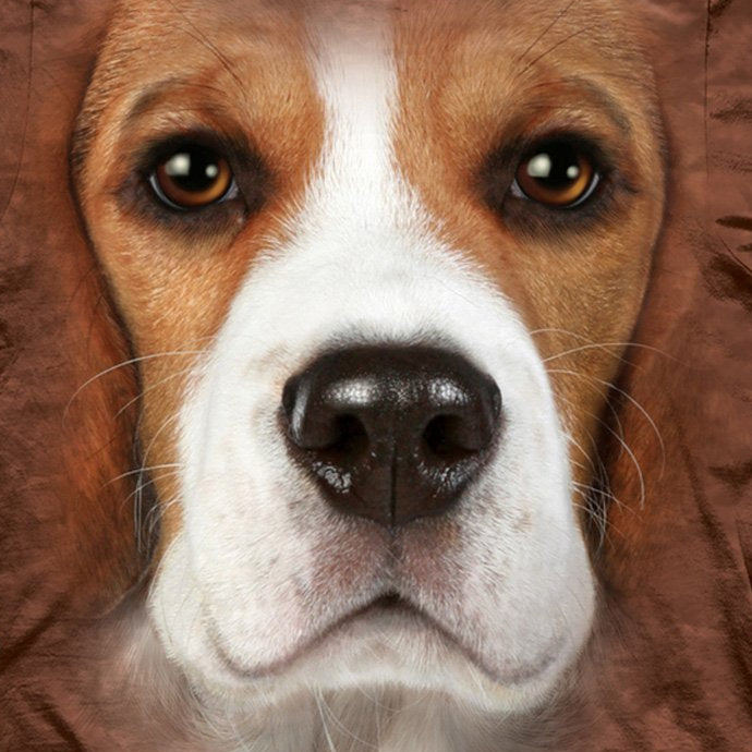 The Mountain Beagle Face T Shirt AnimalPride