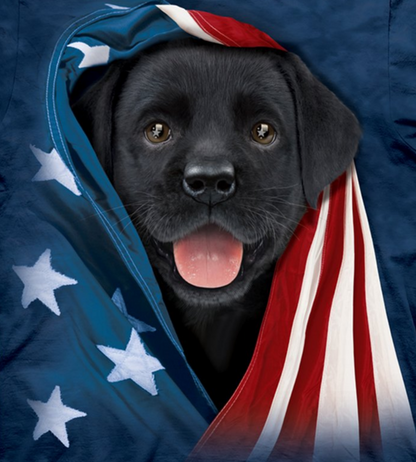 Patriotic Black Lab Pup - Kids' Unisex T-Shirt