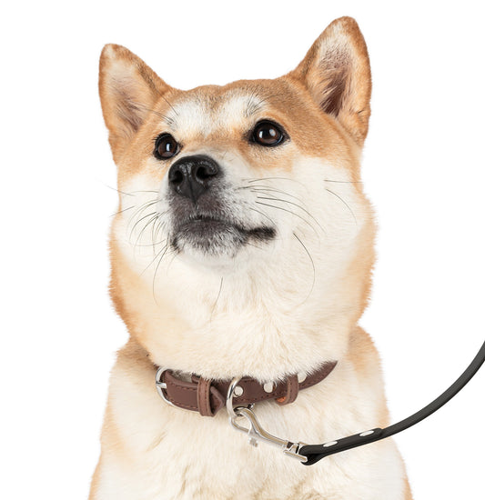 JHS Logo - Dog Leash