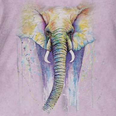 Elephant Colors - Women's Tri-Blend V-Neck T-Shirt