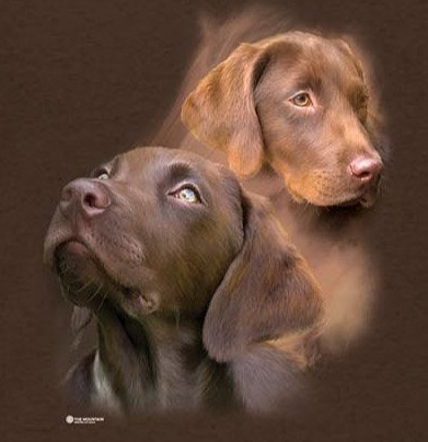 Chocolate Labs - Women's Tri-Blend V-Neck T-Shirt