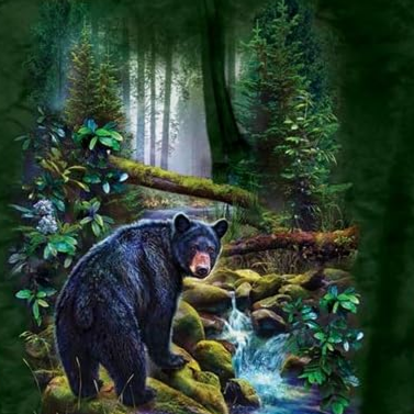 Black Bear Forest - Adult Unisex Hoodie Sweatshirt