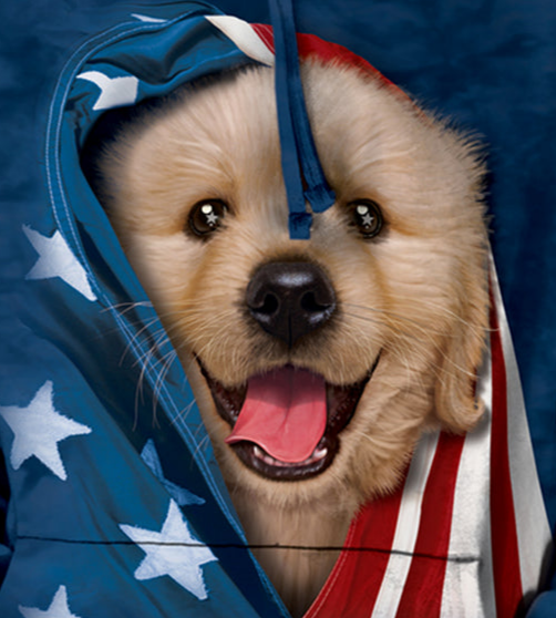 Patriotic Golden Pup - Adult Unisex Hoodie Sweatshirt