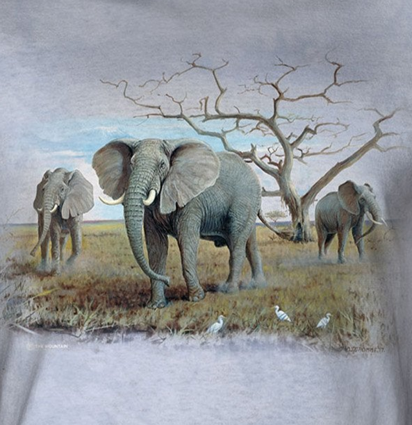 Three African Elephants - Kids' Unisex T-Shirt