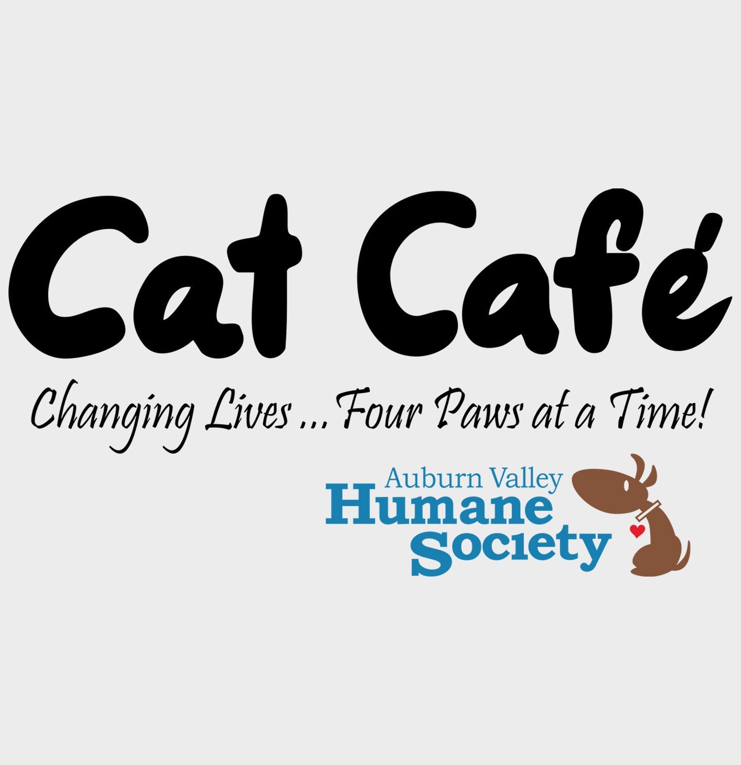 AVHS Cat Cafe Changing Lives - Adult Unisex T-Shirt - Grey - Medium - Graphic