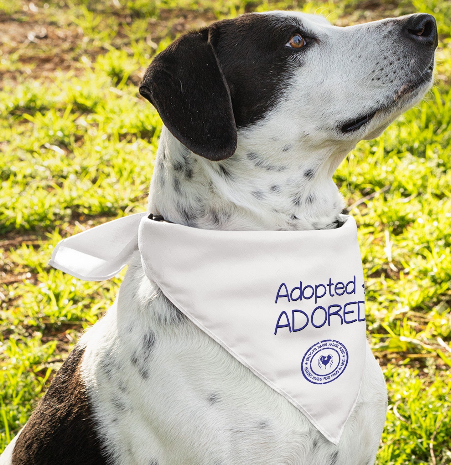 Adopted and Adored BDAF - Doggie Bandana - Main