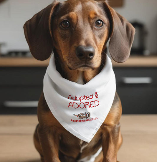 Adopted and Adored SCDR - Doggie Bandana - Main