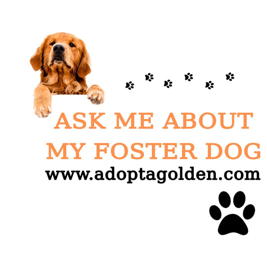 Ask Me About My Foster Dog - Adult Unisex T-Shirt