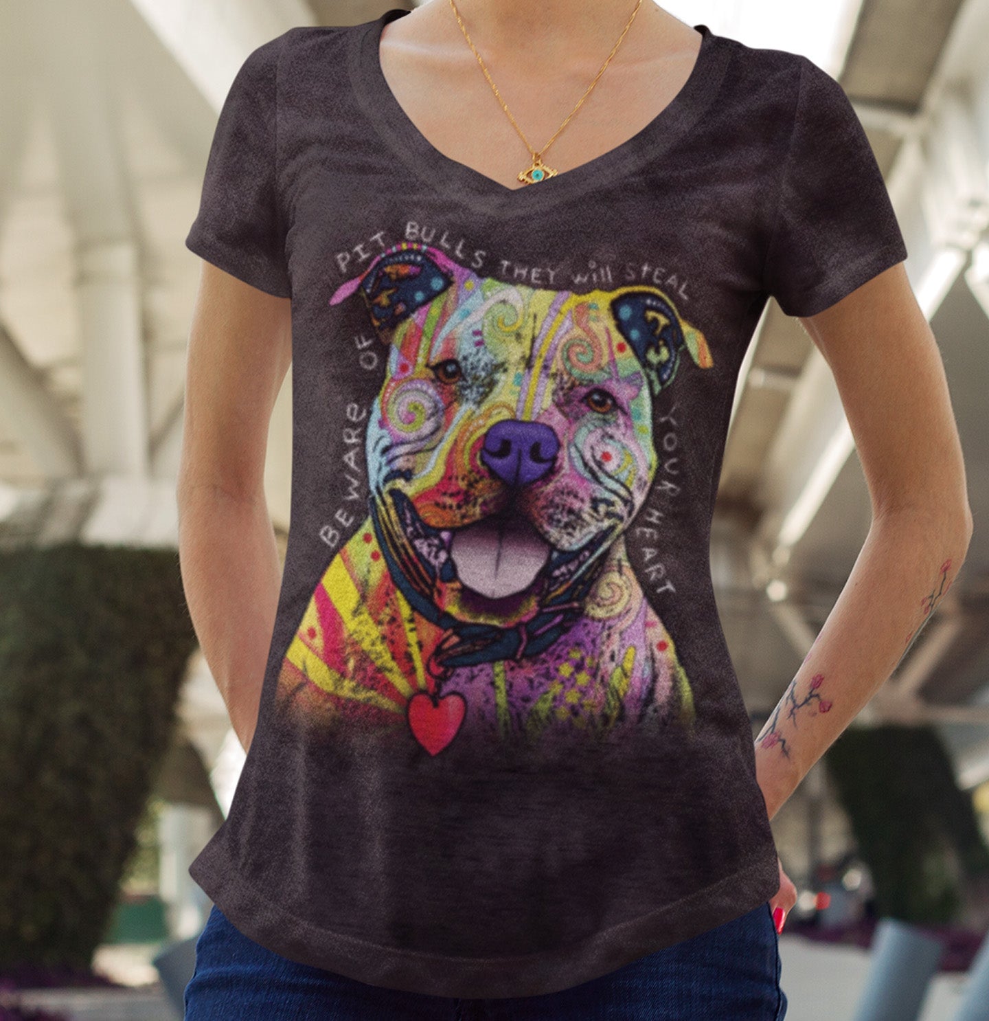 Beware Of Pit Bulls - Women's Tri-Blend V-Neck T-Shirt