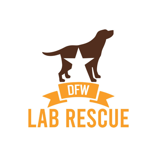 DFW Lab Rescue LC Logo - Adult Micro-Mesh Polo - Light Blue - Medium - Graphic