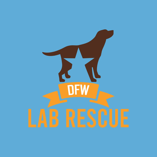 DFW Lab Rescue LC Logo - Women's Micro-Mesh Polo - Light Blue - Medium - Graphic