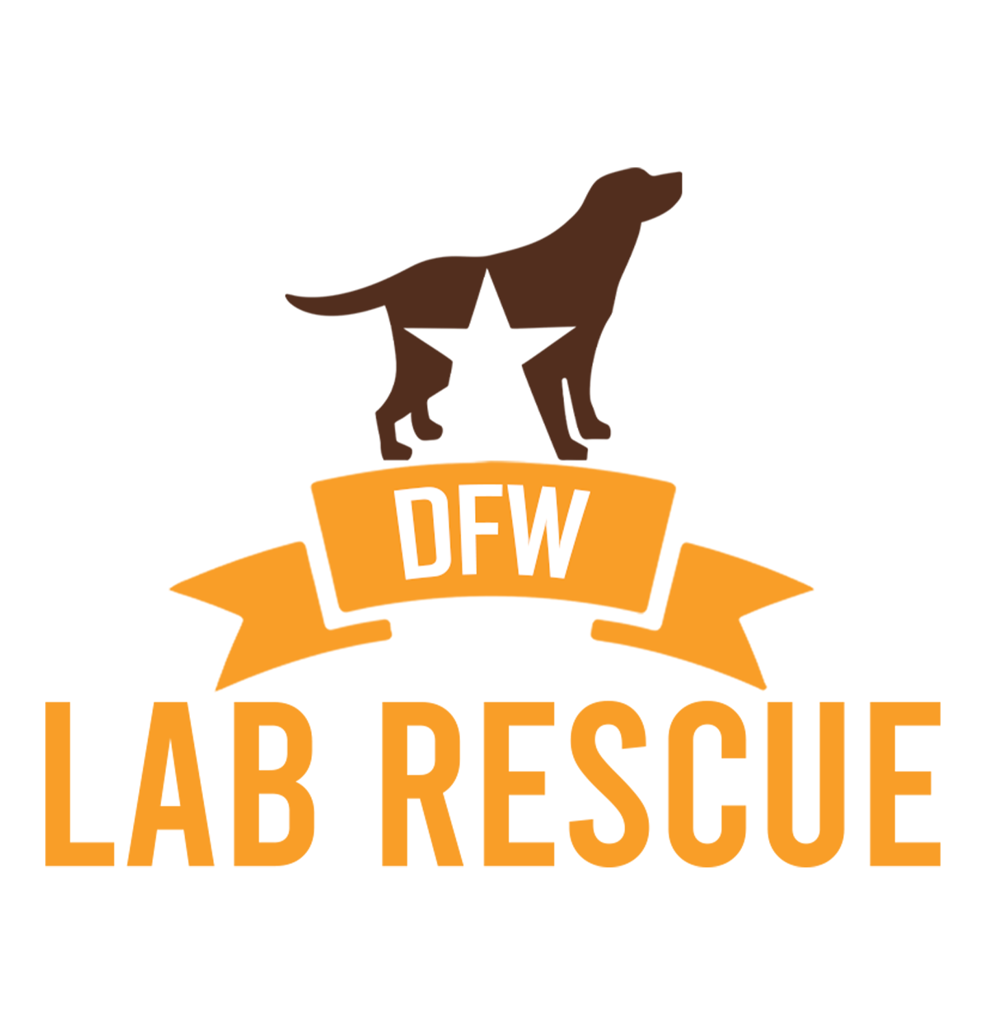 DFW Lab Rescue Logo - Classic Twill Hat – AnimalPride.com