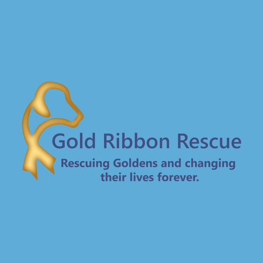 Gold Ribbon Rescue LC Logo - Adult Micro-Mesh Polo - Light Blue - Medium - Graphic