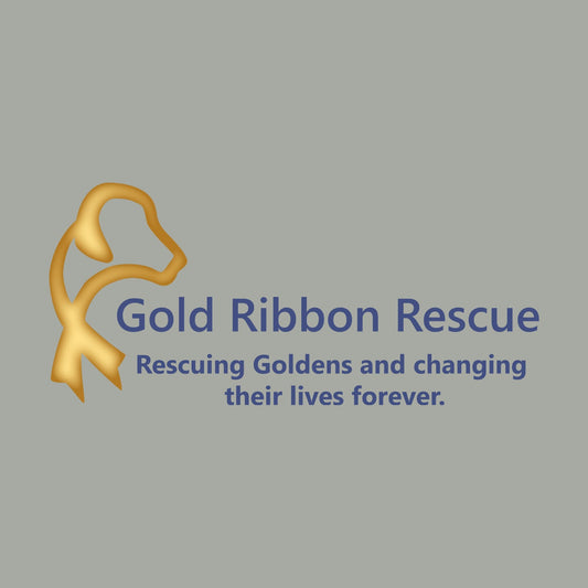Gold Ribbon Rescue LC Logo - Women's Micro-Mesh Polo - Light Blue - Medium - Graphic