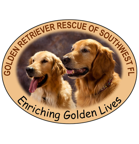 GRRSWF Enriching Golden Lives - Pet Bowl