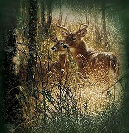 Golden Moment - Adult Unisex Long Sleeve T-Shirt