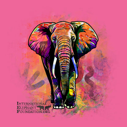 IEF Funky Elephant - Women's Tri-Blend T-Shirt