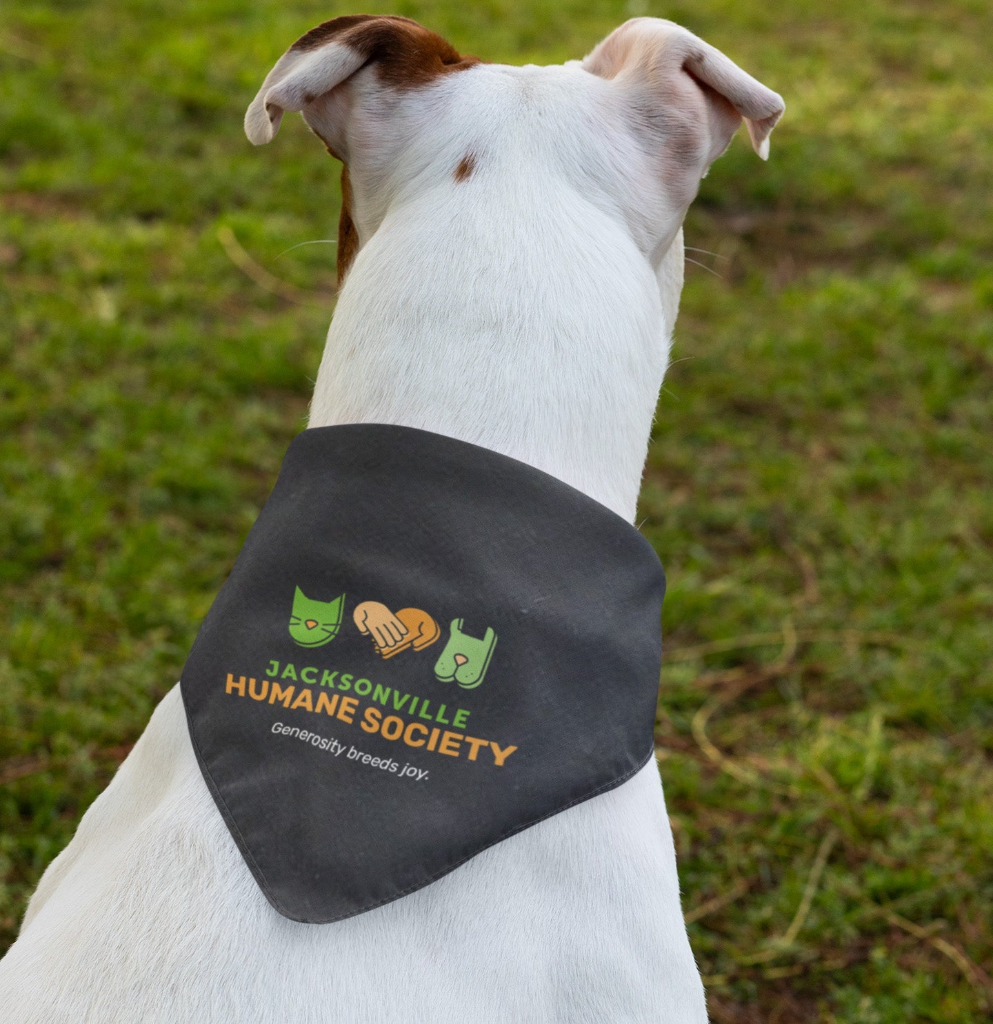 JHS Generosity Breeds Joy - Doggie Bandana