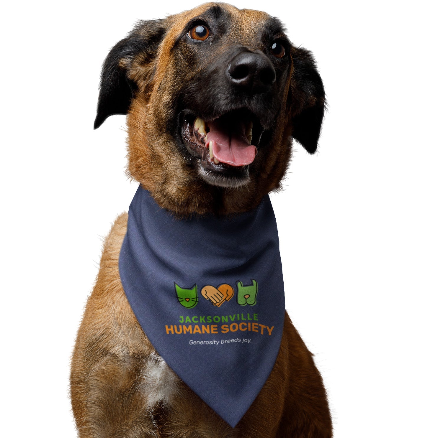 JHS Generosity Breeds Joy - Doggie Bandana