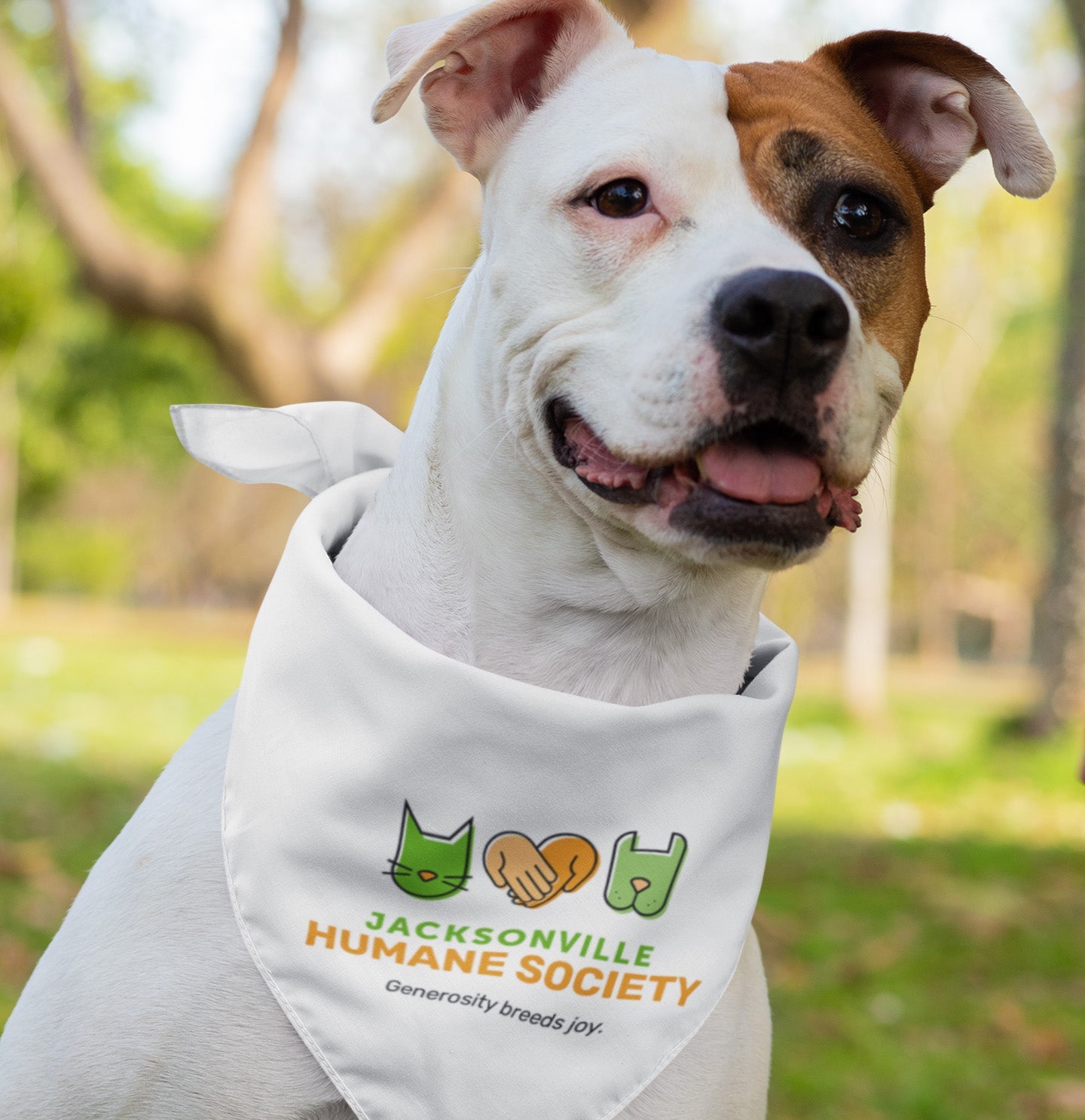 JHS Generosity Breeds Joy - Doggie Bandana
