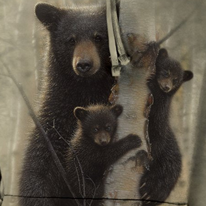 Mama Bear | Mom Bear - Adult Unisex Hoodie Sweatshirt