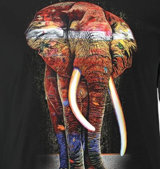 Painted Elephant - Adult Unisex Long Sleeve T-Shirt