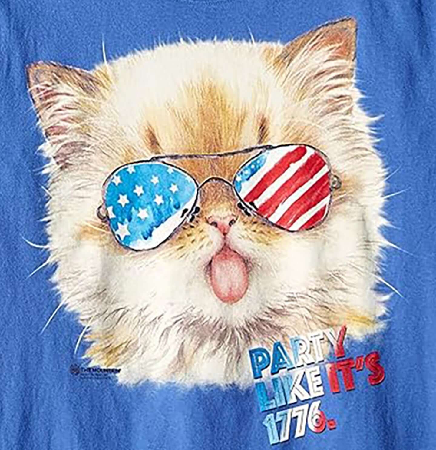 Party Like It's 1776 - Adult Unisex T-Shirt