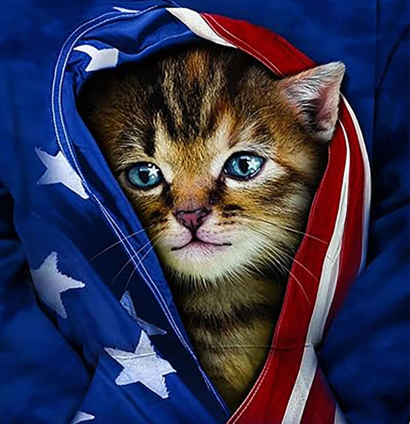 Patriotic Kitten - Kids' Unisex Hoodie Sweatshirt