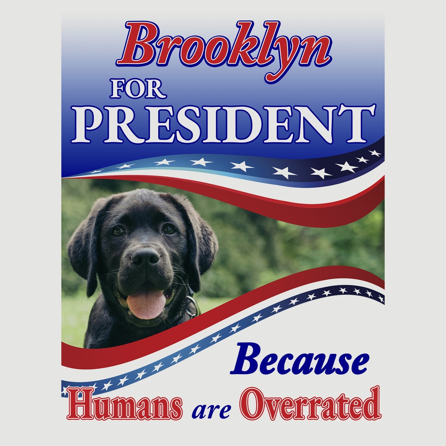 My Pet for President - Personalized Custom Garden Flag - Graphic