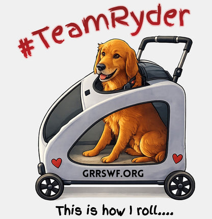 Team Ryder In Cart - Adult Tri-Blend T-Shirt - Black - Medium - Graphic