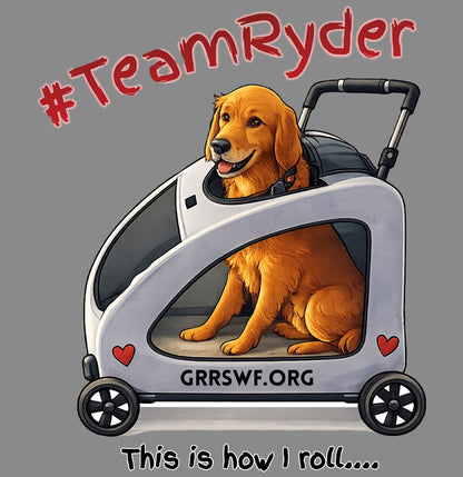 Team Ryder In Cart - Women's V-Neck Tri-Blend T-Shirt - Black - Medium - Graphic