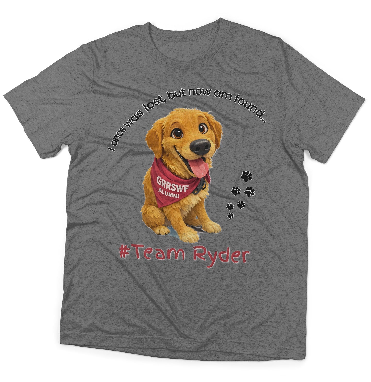 Team Ryder Once Was Lost - Adult Tri-Blend T-Shirt - Grey - Large - Specs