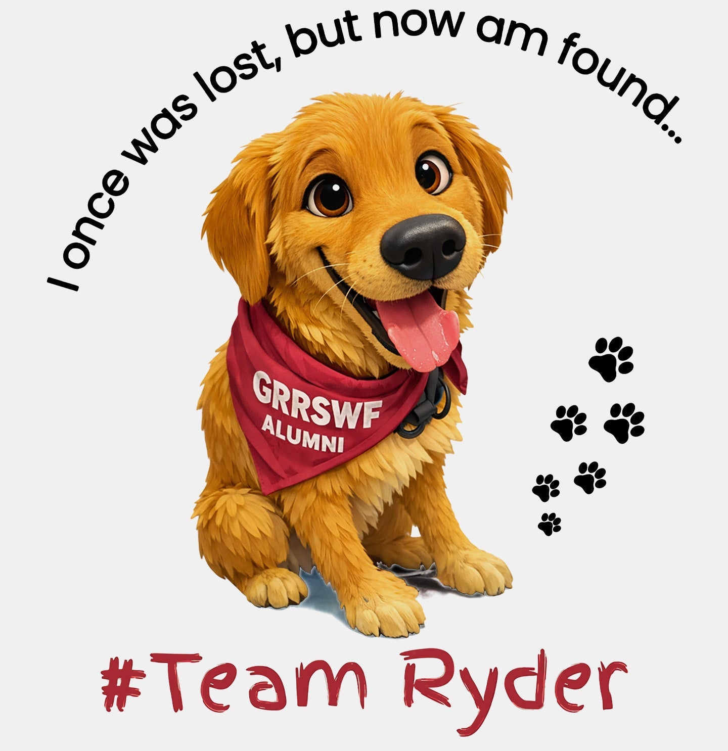 Team Ryder Once Was Lost - Women's V-Neck Tri-Blend T-Shirt - Grey - Medium - Graphic