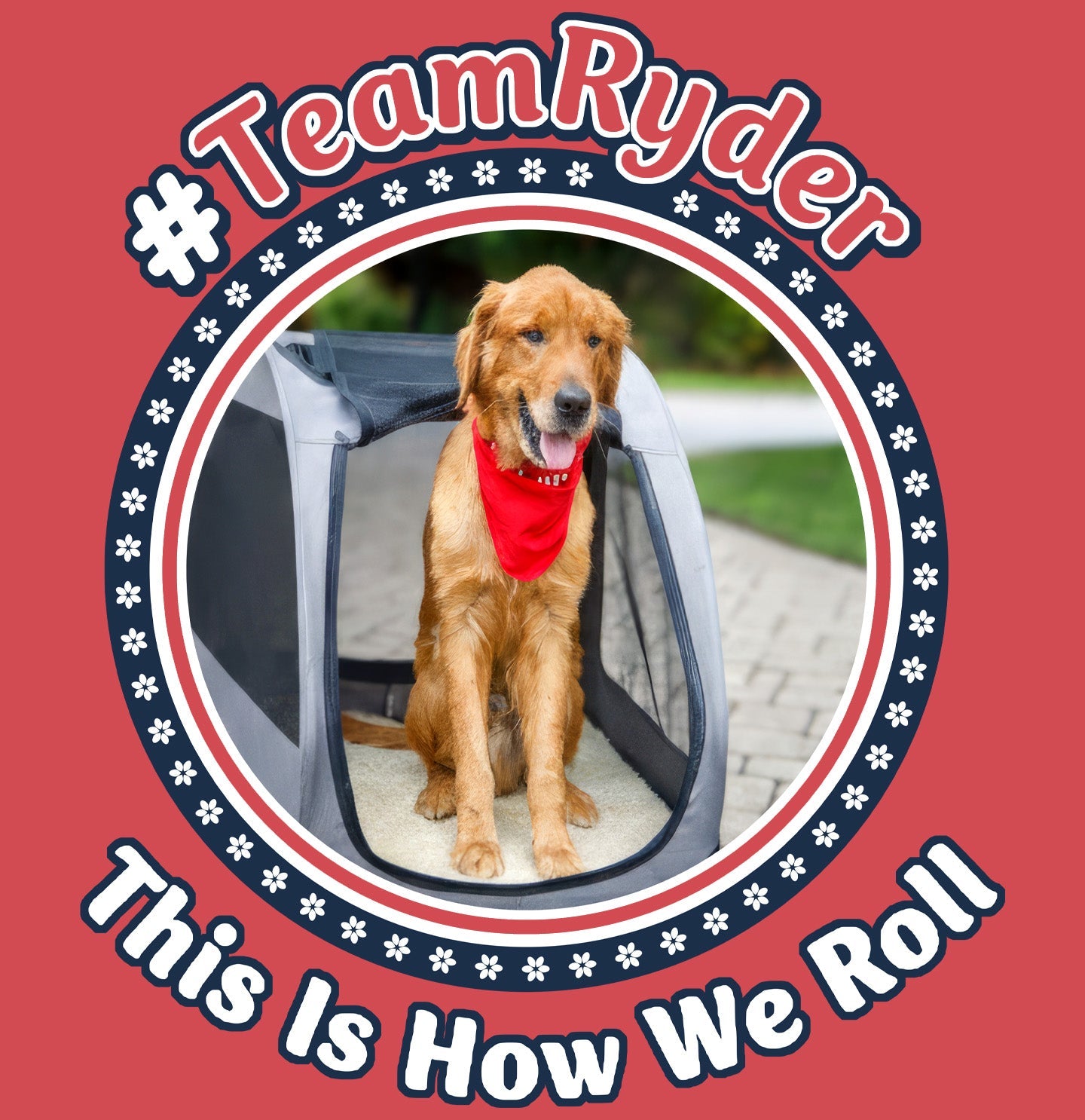 Team Ryder How We Roll - Women's V-Neck Tri-Blend T-Shirt - Black - Medium - Graphic