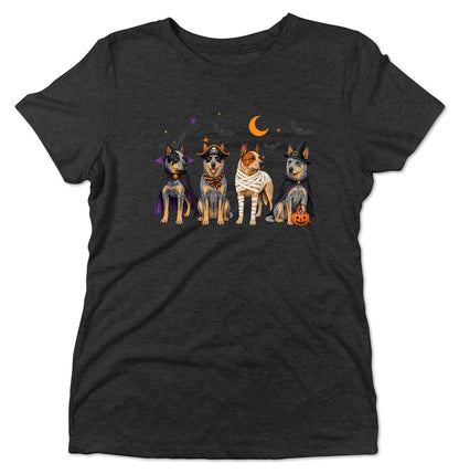 Australian Cattle Dog Halloween Lineup - Women's Tri-Blend T-Shirt