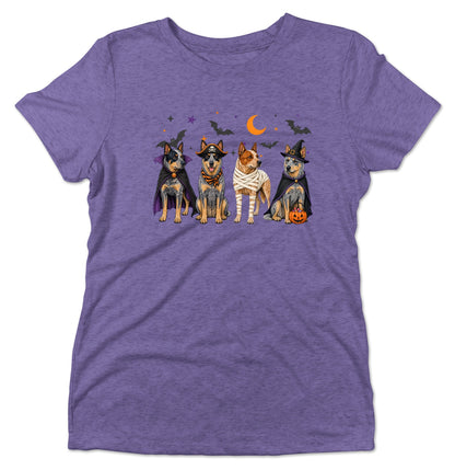 Australian Cattle Dog Halloween Lineup - Women's Tri-Blend T-Shirt