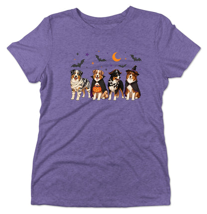 Australian Shepherd Halloween Lineup - Women's Tri-Blend T-Shirt