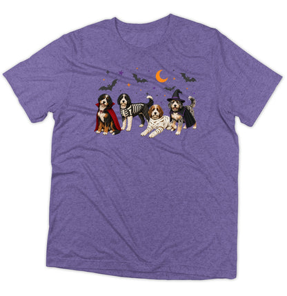 Bernedoodle Halloween Lineup - Adult Tri-Blend T-Shirt