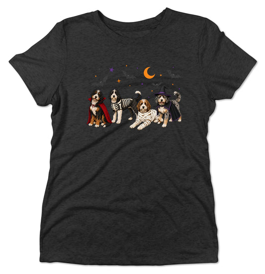 Bernedoodle Halloween Lineup - Women's Tri-Blend T-Shirt