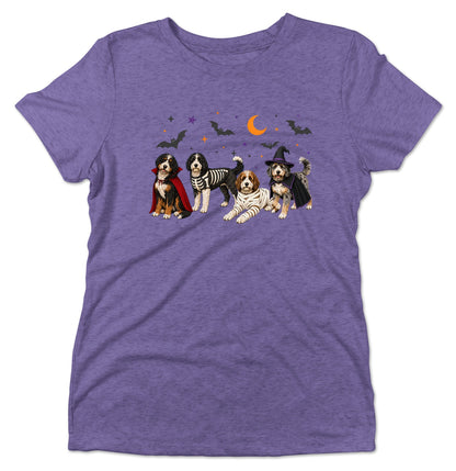 Bernedoodle Halloween Lineup - Women's Tri-Blend T-Shirt