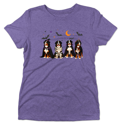 Bernese Mountain Dog Halloween Lineup - Women's Tri-Blend T-Shirt