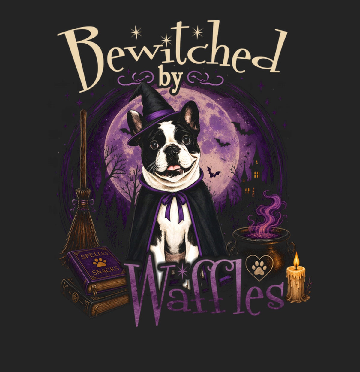 Bewitched By My Pet - Women's Tri-Blend T-Shirt