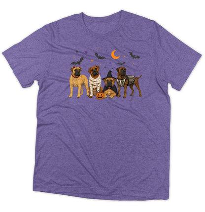 Boerboel Halloween Lineup - Adult Tri-Blend T-Shirt