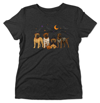 Boerboel Halloween Lineup - Women's Tri-Blend T-Shirt