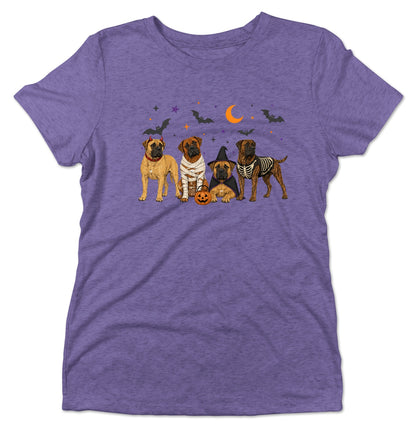 Boerboel Halloween Lineup - Women's Tri-Blend T-Shirt