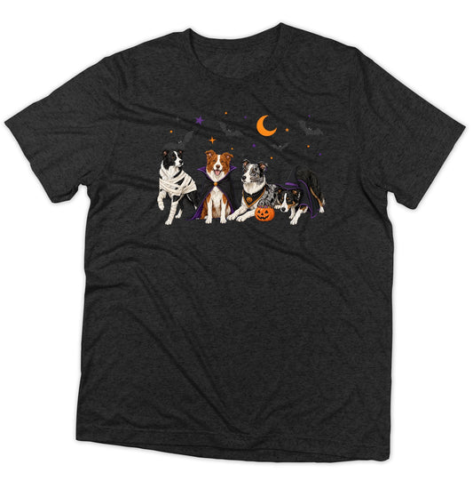 Border Collie Halloween Lineup - Adult Tri-Blend T-Shirt