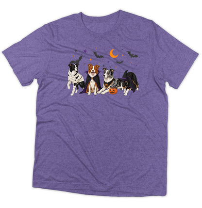 Border Collie Halloween Lineup - Adult Tri-Blend T-Shirt