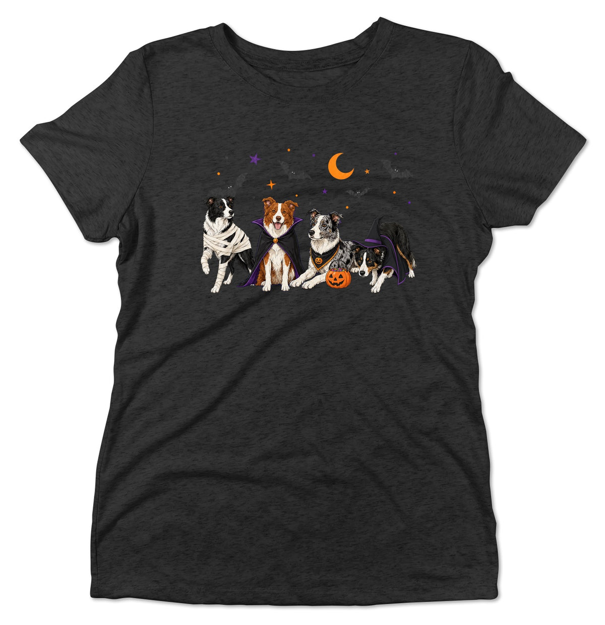 Border Collie Halloween Lineup - Women's Tri-Blend T-Shirt