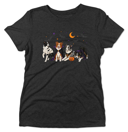 Border Collie Halloween Lineup - Women's Tri-Blend T-Shirt